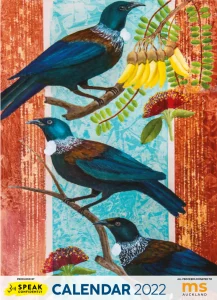 2 tuis painted in typical kiwiana style.